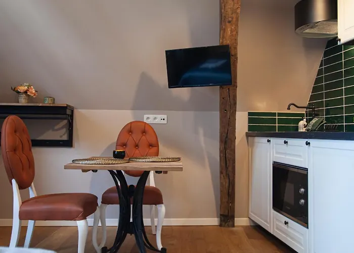 Pet friendly Luxury Suites Meir By Rikas Hotels Antwerp