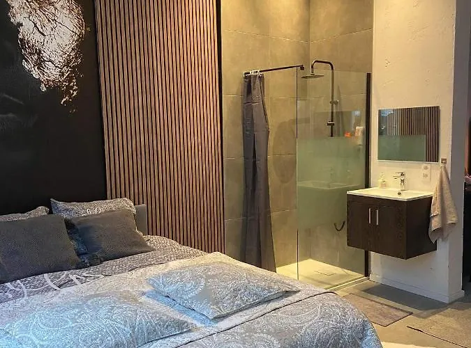 Garden Suite In City Center Antwerp