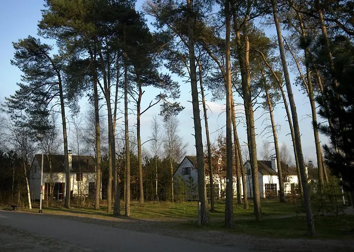 Mol Hotels