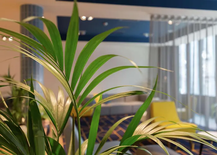 Antwerp Self Catering Holidays