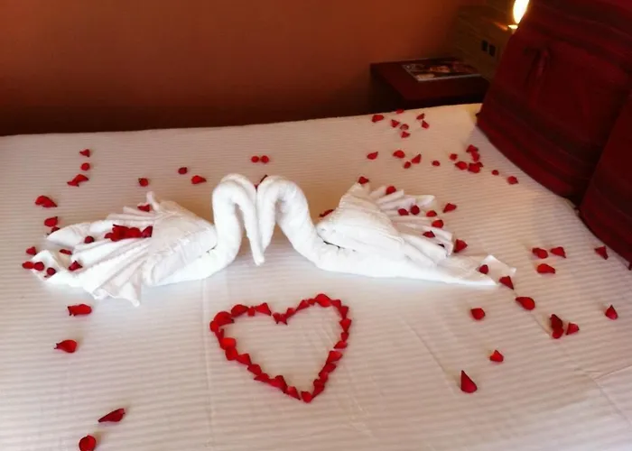 Best Antwerp Hotels For Families With Kids